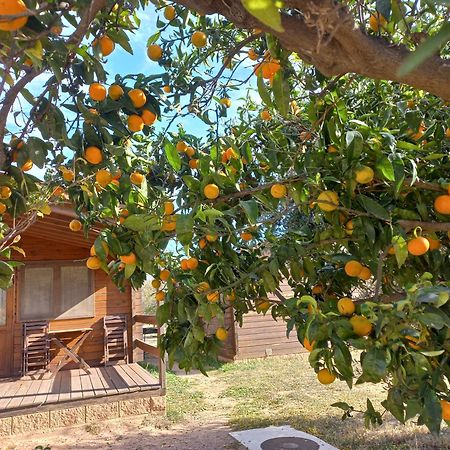Ecologic Vinyols Camp Hotel Vinyols i Els Arcs Bagian luar foto